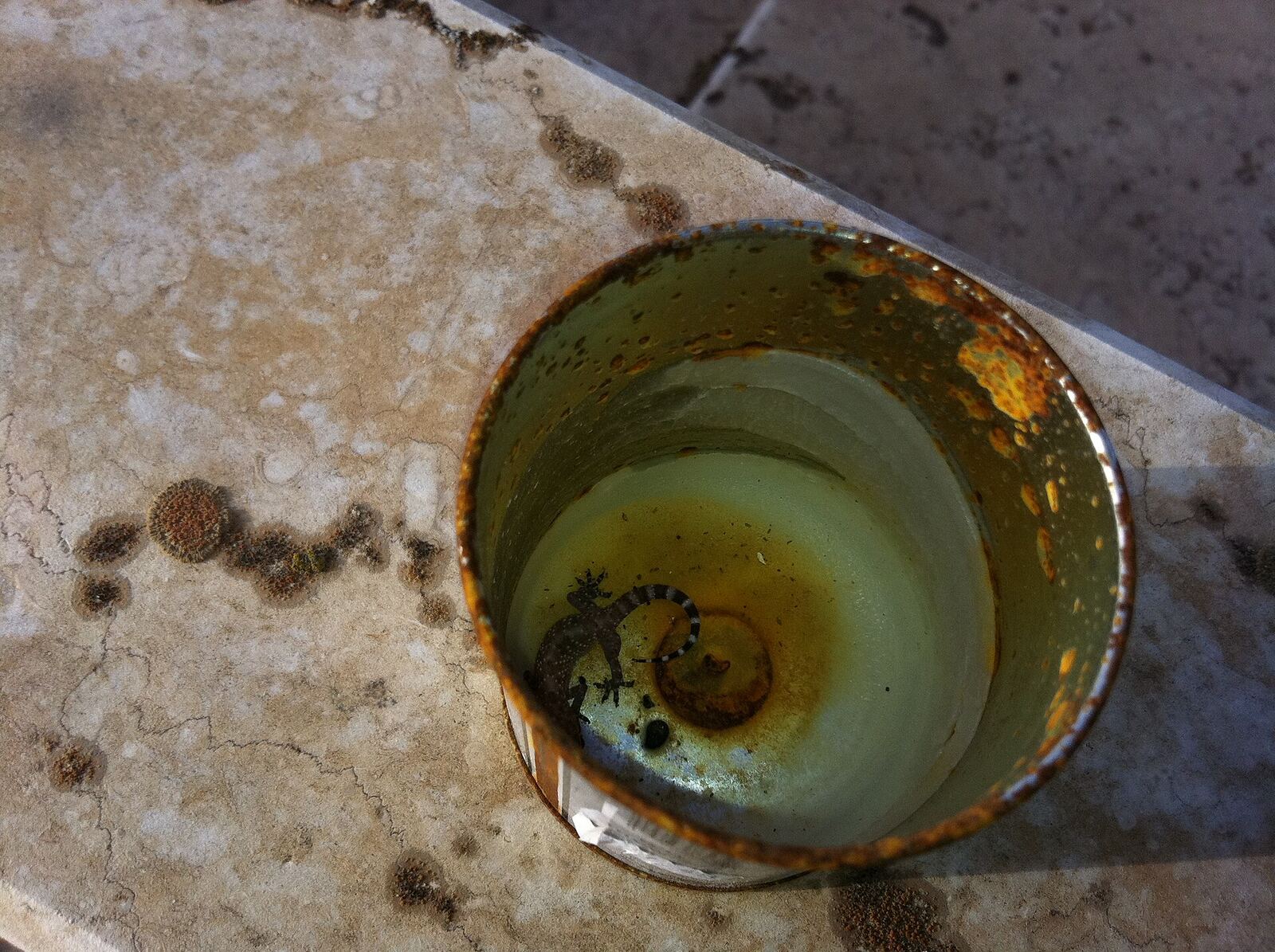 memorial candle, Geography of Israel